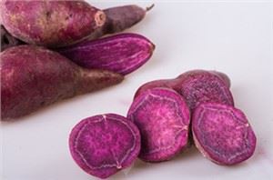 자색고구마 분말