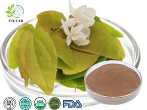 Epimedium 추출물
