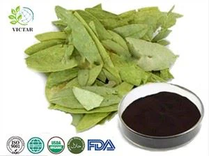 세나 잎 추출물